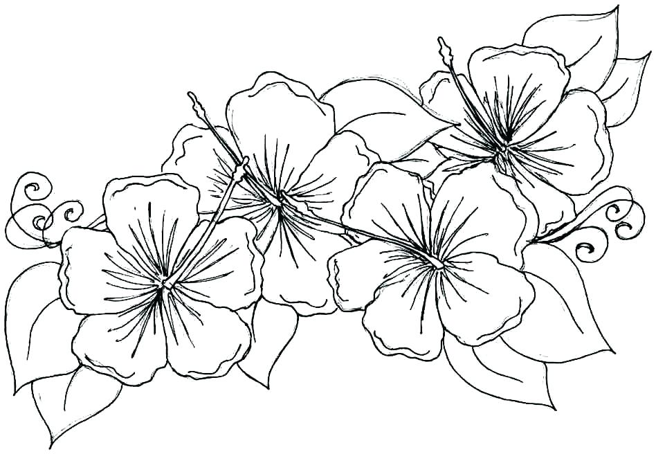 948x656 Small Flower Coloring Pages