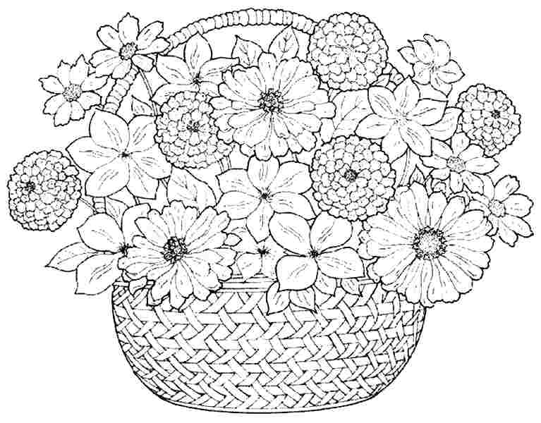 767x600 Free Printable Flower Coloring Pages For Adults Coloring Pages