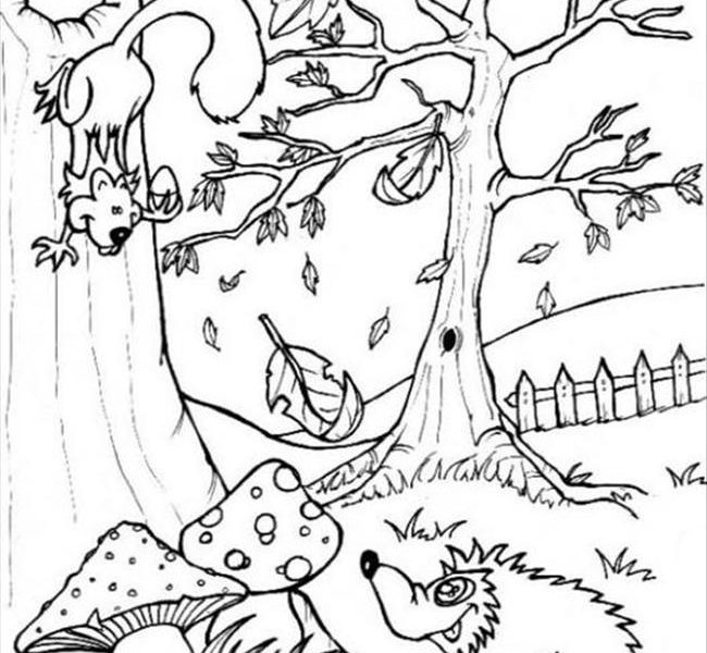 650x600 Forest Coloring Pages Printable Coloring Page
