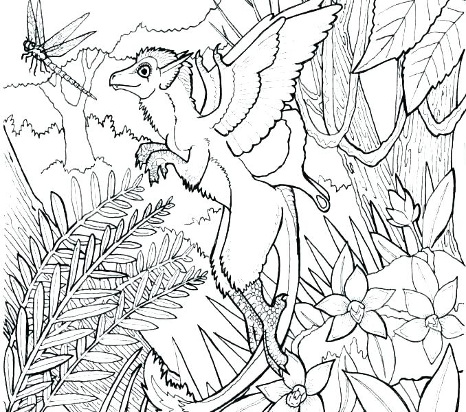 678x600 Forest Coloring Pages Printable Enchanted Forest Coloring Pages