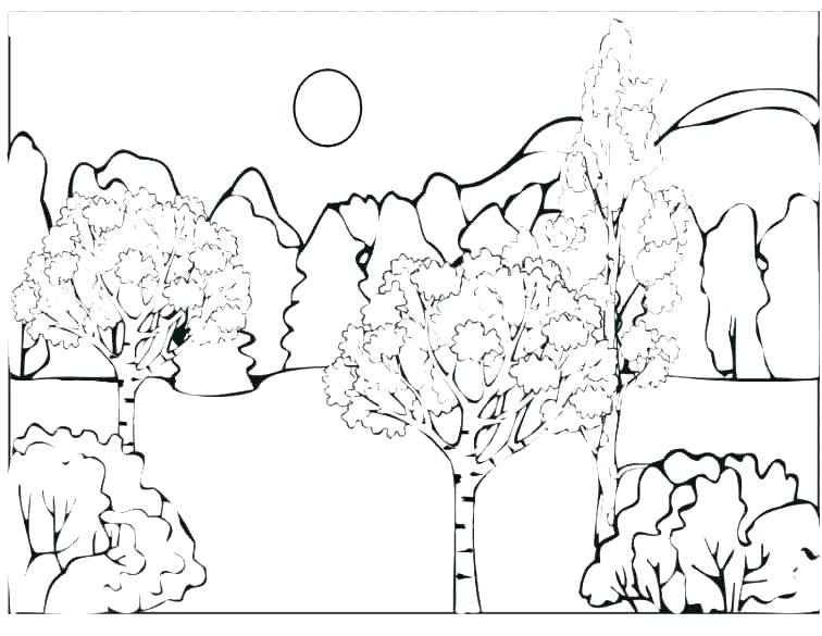 756x585 Enchanted Coloring Pages Forest Colouring Pages Coloring Pages