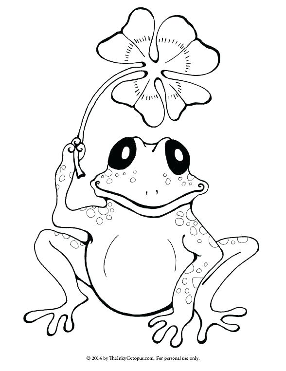 588x762 Free Frog Coloring Pages Free Frog Coloring Pages Coloring Pages