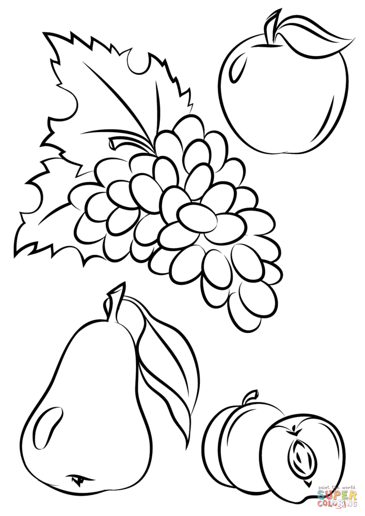 724x1024 Autumn Fruits Coloring Page Free Printable Pages For Fruit