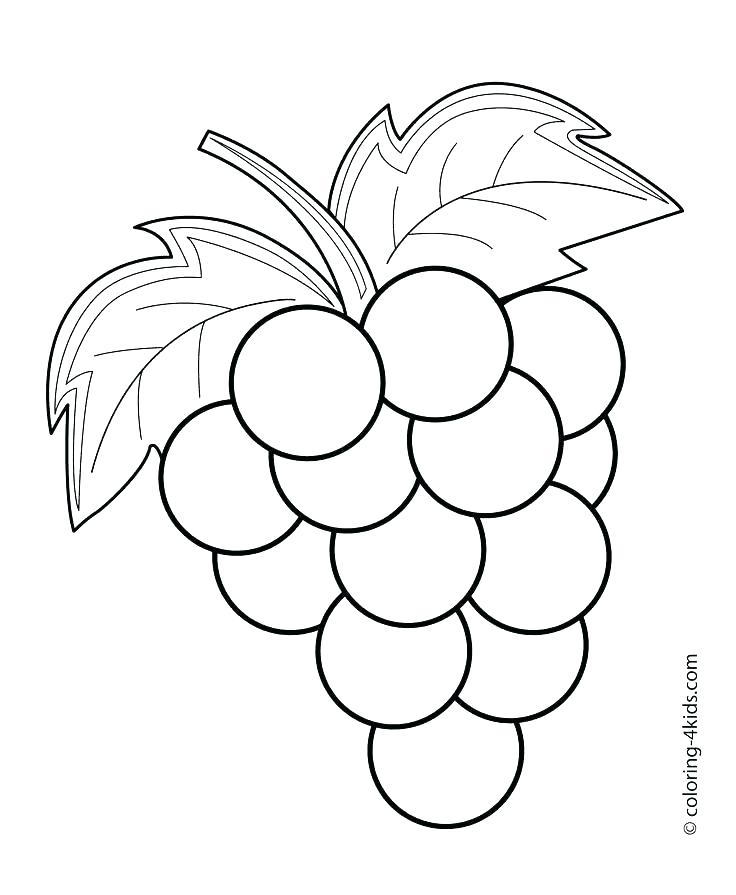 736x895 Printable Fruit Flashcards Kids Coloring Fruit Color Pages Fruits
