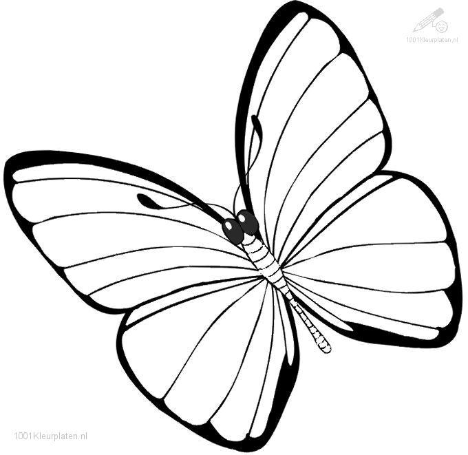 680x661 Full Page Coloring Pages