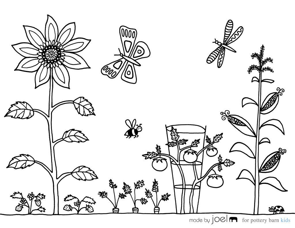1024x791 Garden Coloring Sheets