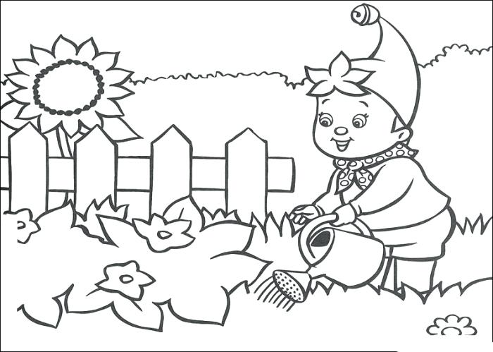 700x499 Garden Coloring Sheets Gardening Coloring Pages Noddy And Plants