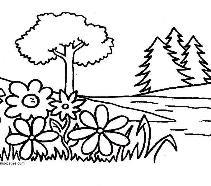 678x598 Garden Pictures To Color Flower Garden Coloring Pages To Download