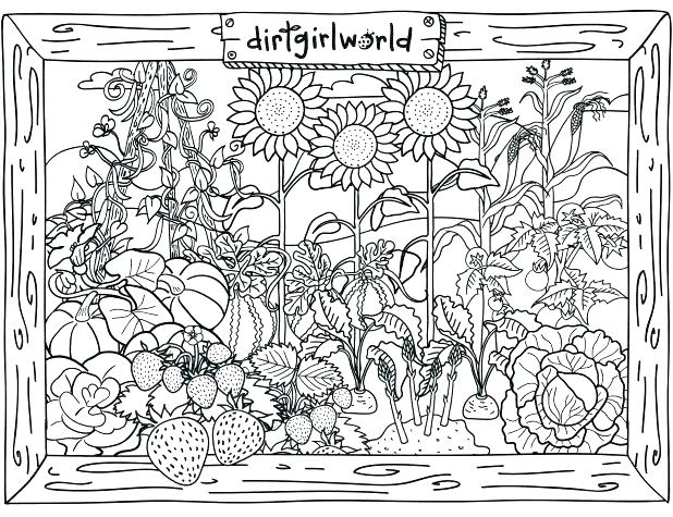 618x475 Vegetable Garden Coloring Page Vegetable Garden Coloring Sheets