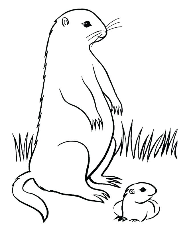 670x820 Groundhog Coloring Pages Graduation Coloring Pages To Print