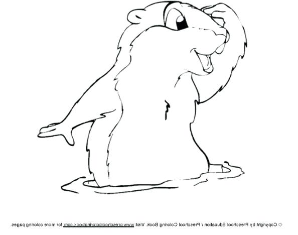 594x468 Groundhog Day Coloring Pages Groundhog Day Coloring Pages