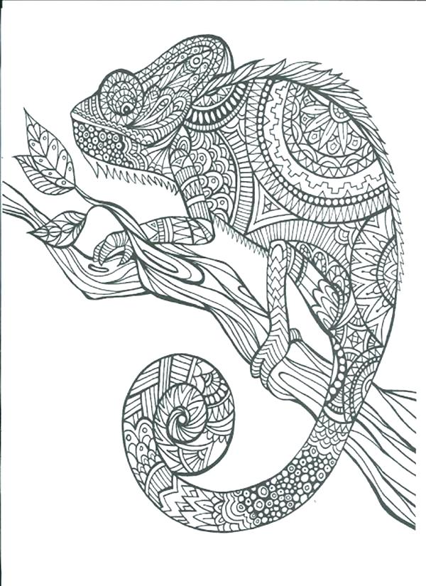 600x825 Free Art Coloring Pages Free Adult Coloring Pages To Print Free