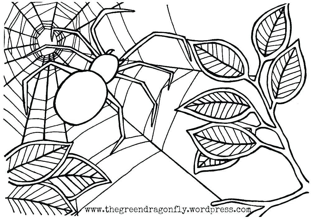 1000x707 Halloween Spider Coloring Pages Spider Web Coloring Page Spider