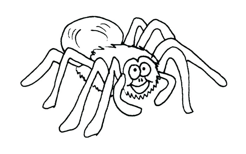 800x500 Printable Halloween Spider Coloring Pages Printable Coloring Free