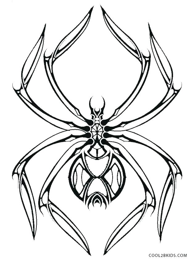 629x850 Spiders Coloring Pages Spider Coloring Pages Printable Spider
