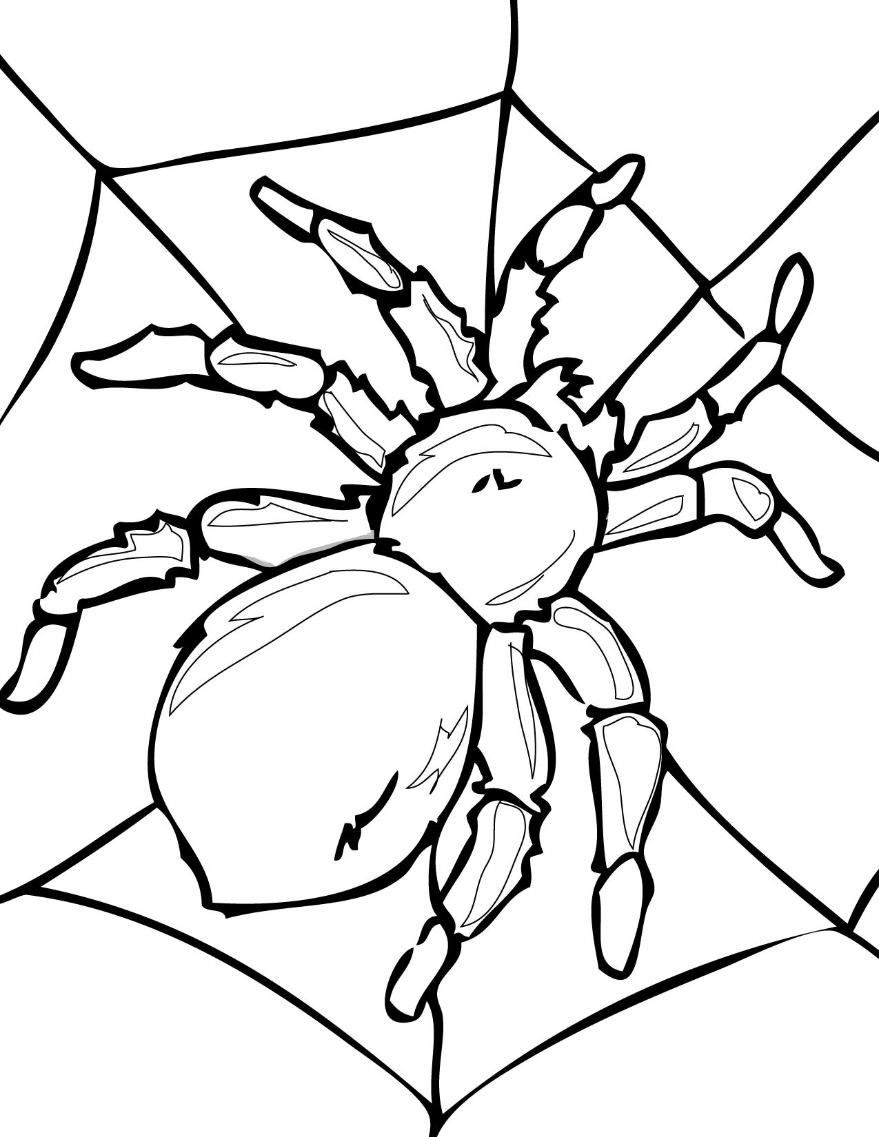 1275x1650 Bgtspiderltgt Ltbgtcoloringltgt Ltbgtpagesltgt School Teacher