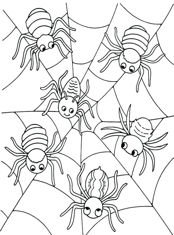 600x811 Free Spider Coloring Pages Spider Web Coloring Pages Spider