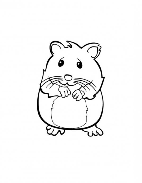 600x776 Drawn Hamster Coloring Page
