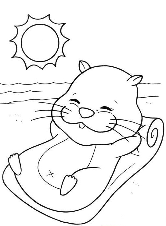 544x742 Free Hamster Coloring Pages
