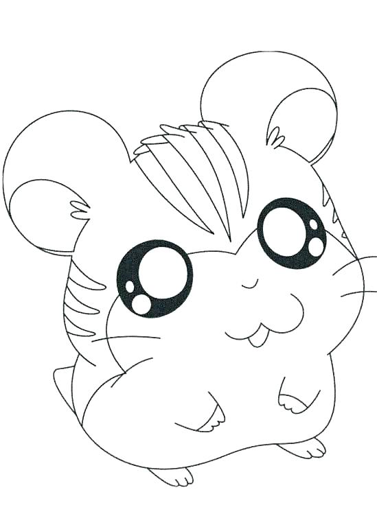 549x749 Gerbil Coloring Pages Hamster Coloring Page Explore Hamsters