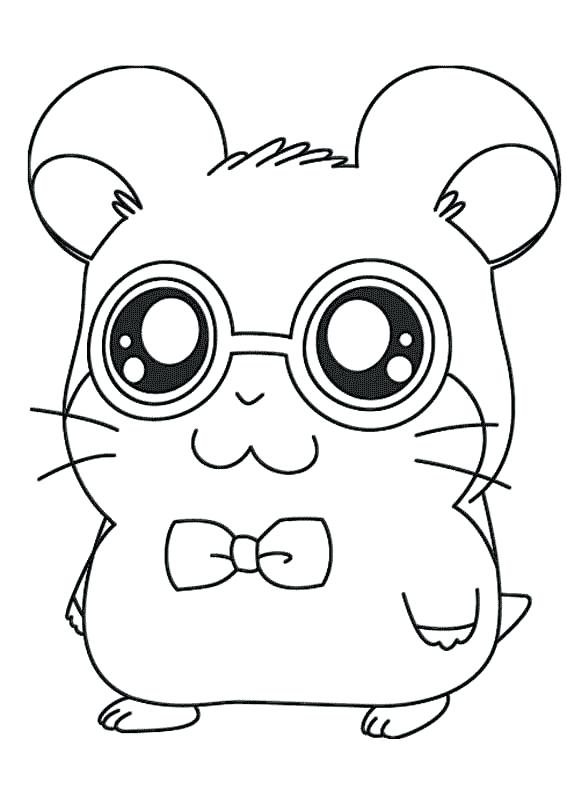 567x794 Hamster Coloring Pages Printable Beautiful Hamster Coloring Pages