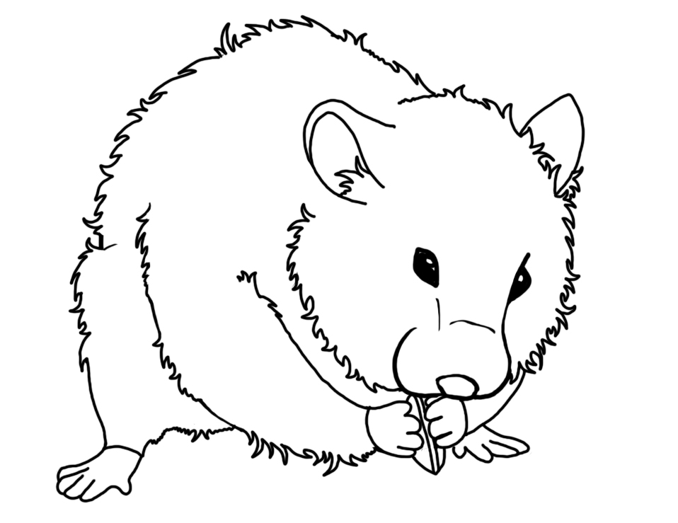 958x739 Hamster Coloring Pages To Download And Print For Free