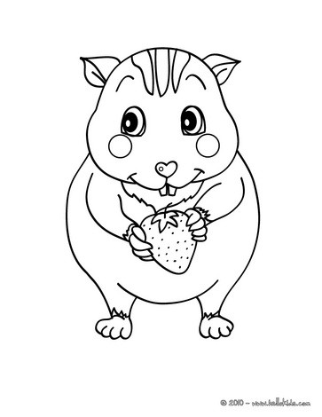 363x470 Kawaii Hamster Coloring Pages
