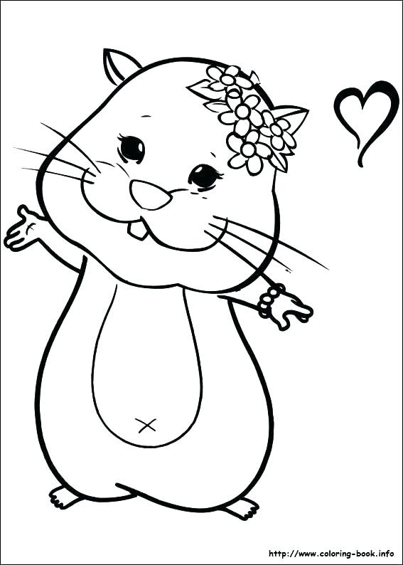 567x794 Cute Hamster Coloring Pages Printable Free Of L