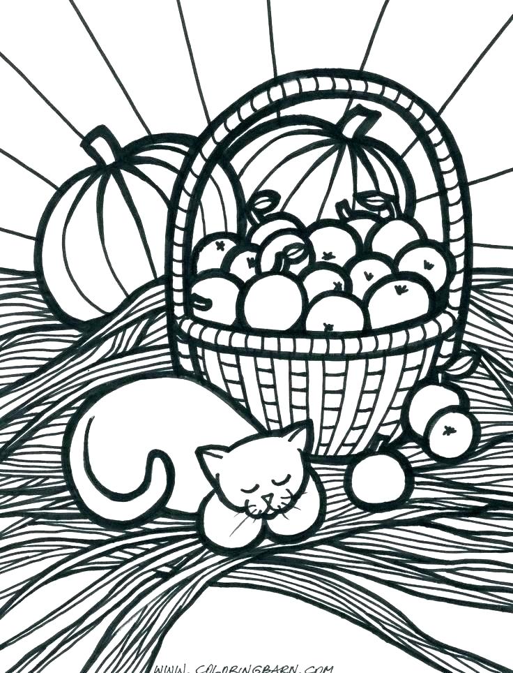 736x964 Fall Harvest Coloring Pages Harvest Colouring Pages Harvest