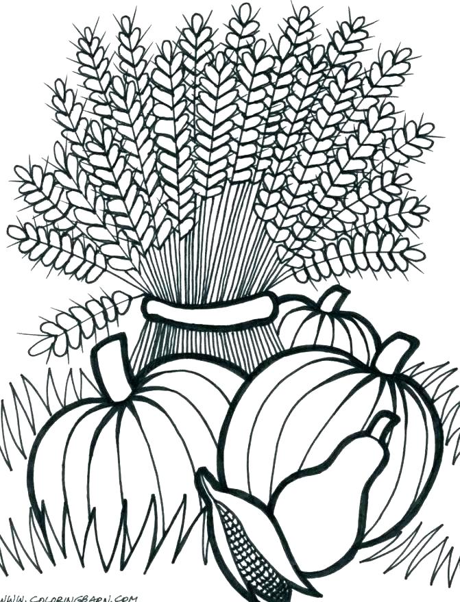 671x879 Harvest Coloring Page Coloring Pages Fall Printable Harvest