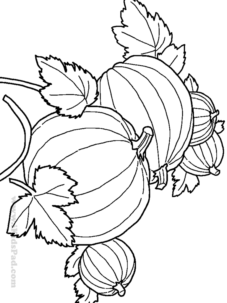 768x1024 Luxury Harvest Coloring Pictures Edge Autumn P