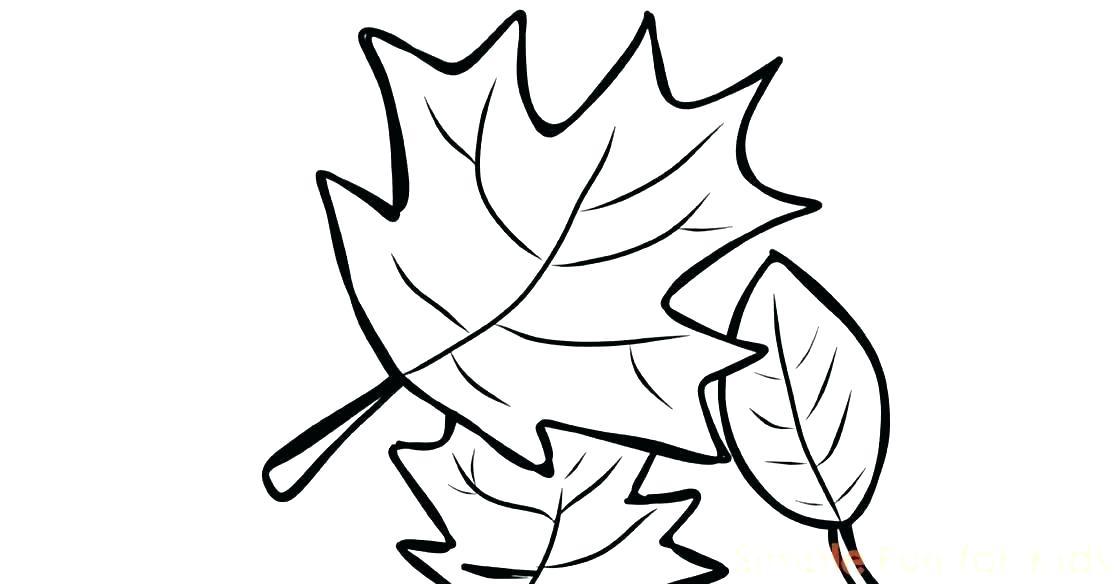 1120x584 Tree Harvest Coloring Pages Free Printable Coloring Tree
