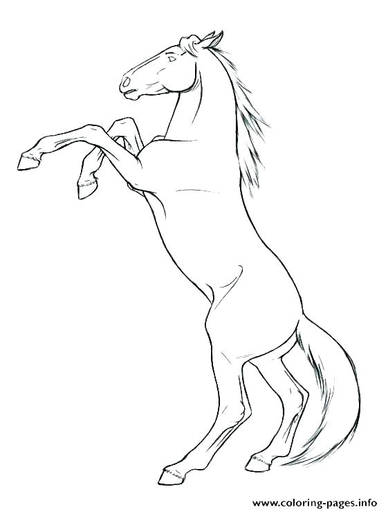 561x739 Horse Coloring Pages To Print Free Horse Coloring Pages Mustang