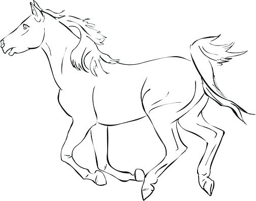 504x397 Coloring Page Of Horse Horse Color Pages Horse Coloring Pages Free