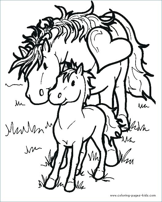 527x656 Free Animal Coloring Pages Coloring Page Horse Free Coloring Pages