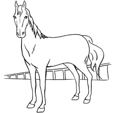230x230 Top Free Printable Horse Coloring Pages Online