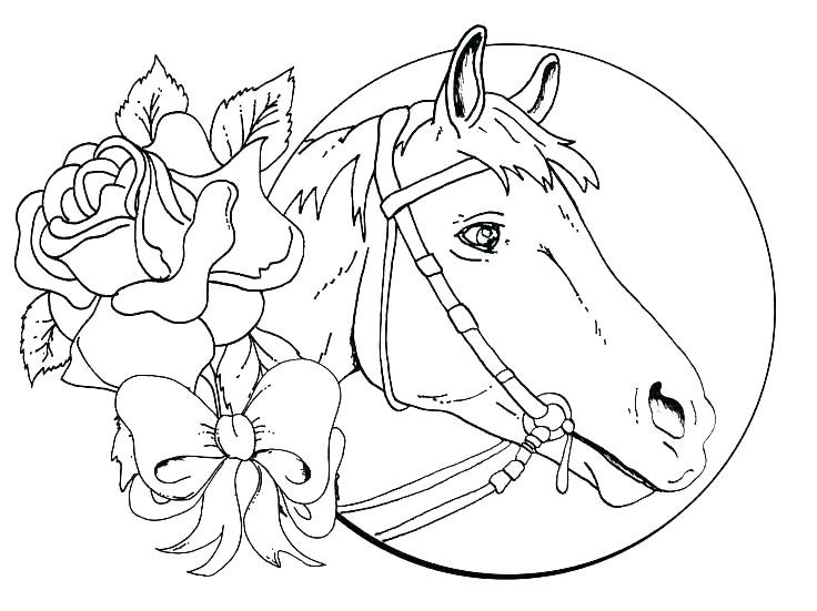 736x551 Horse Coloring Pages Free Stallion Coloring Pages Horse Coloring