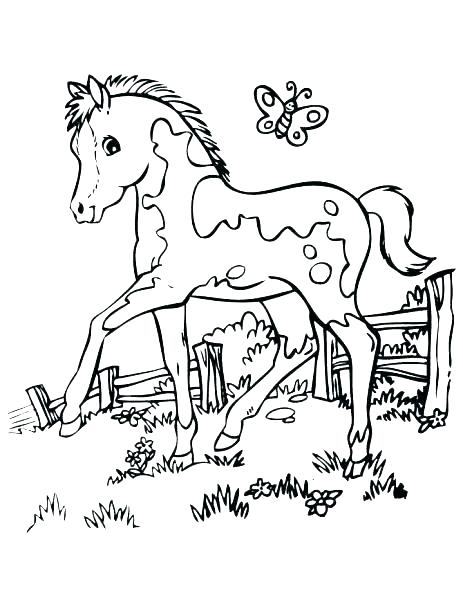 463x600 Horse Coloring Pages That Look Real Free Horses Coloring Pages
