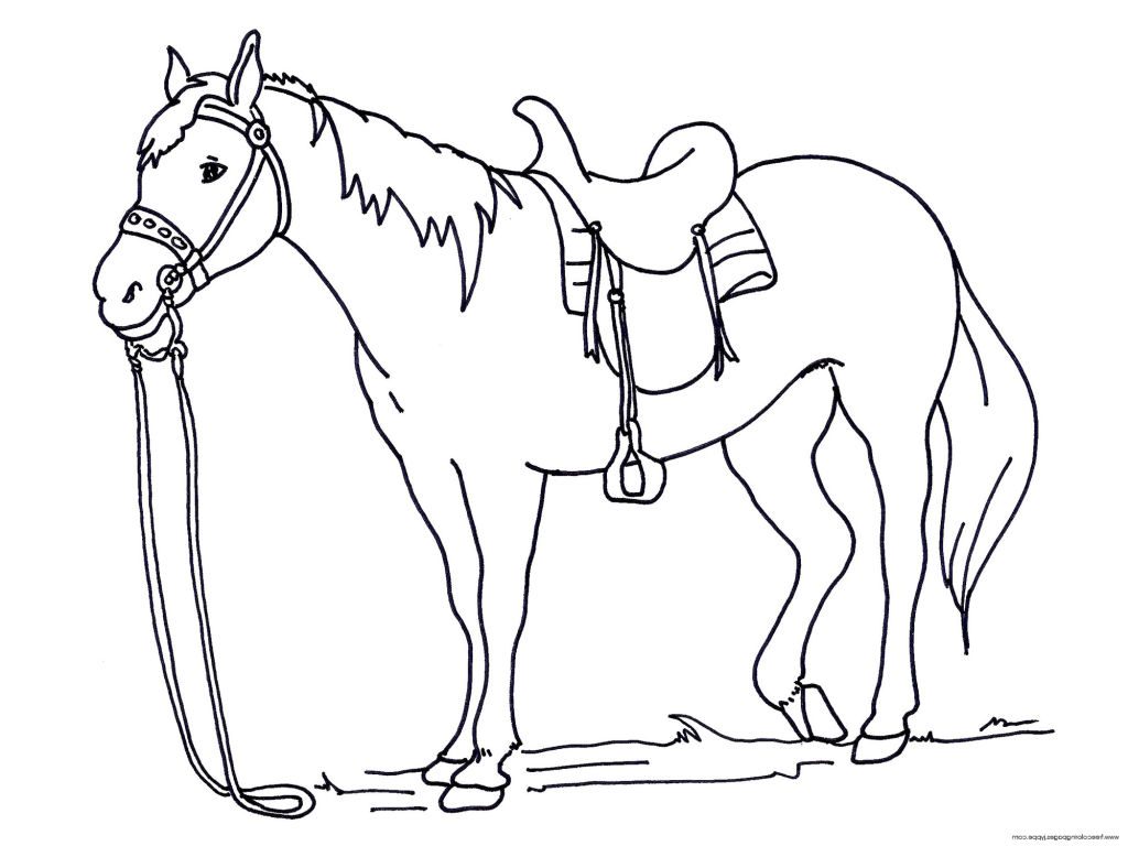 1024x768 Horses Colouring Pages Printable Horse Coloring For Kidsstic