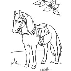 230x230 Top Free Printable Horse Coloring Pages Online Horse And Craft