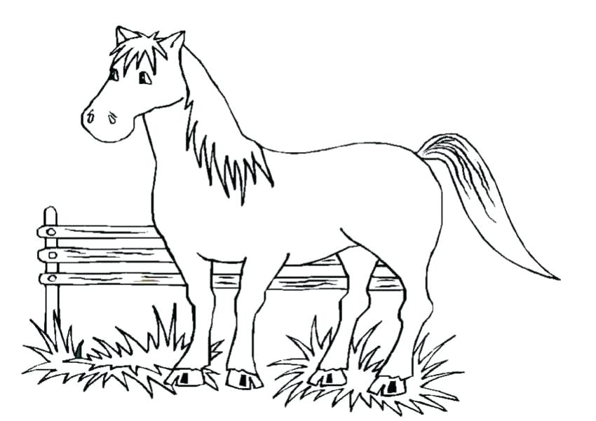 850x601 Horse Coloring Pages Free