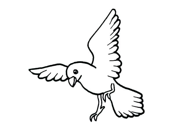 600x460 Hummingbird Coloring Sheet Coloring Pages Of Hummingbirds Coloring