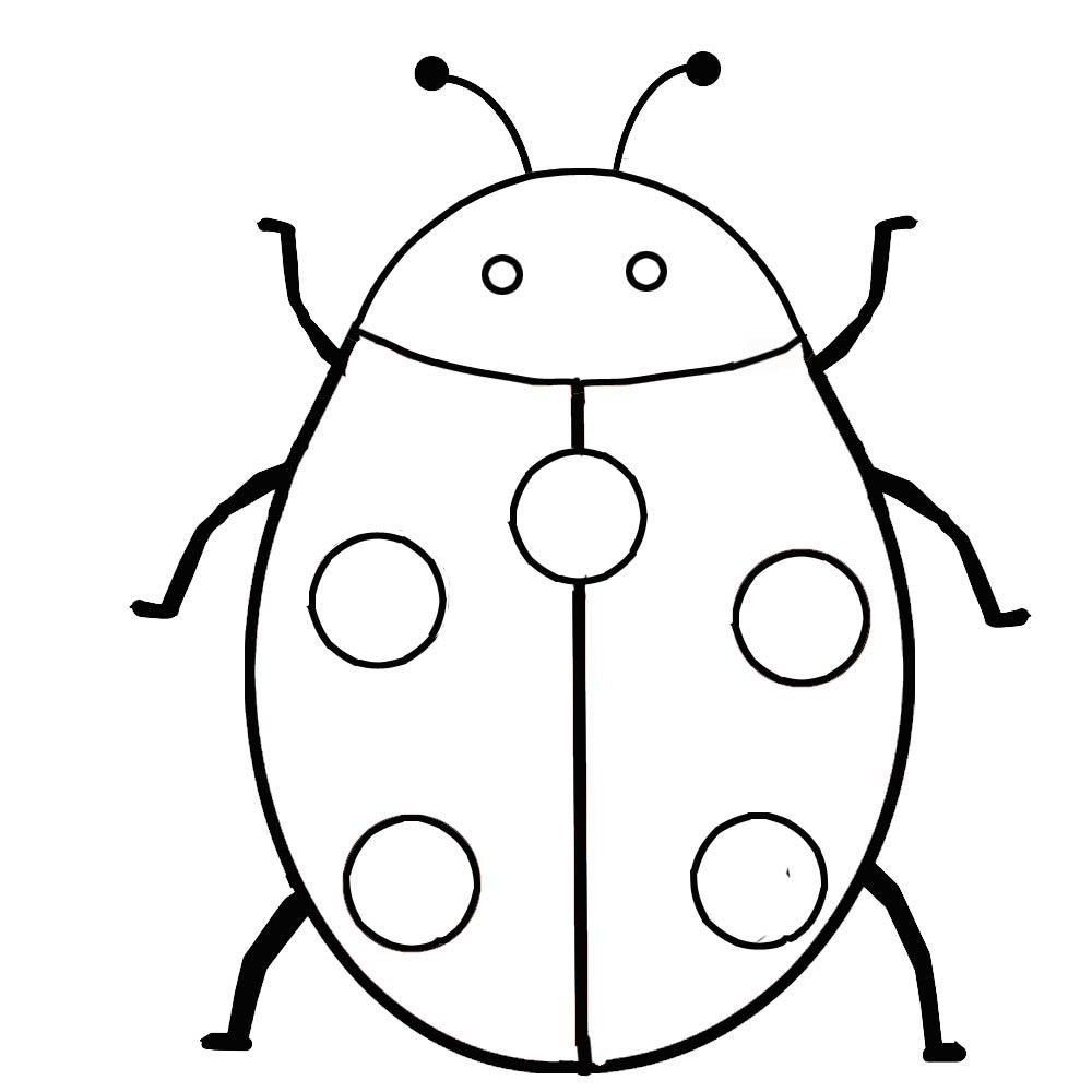 1000x1000 Sampler Insect Coloring Pages Insect Free I
