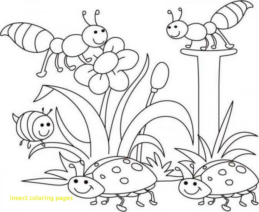 1048x857 Startling Insect Coloring Pages Top Free Pa