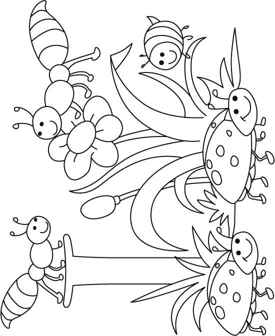 550x672 Bug Coloring Pages Preschool I Insect Coloring Page