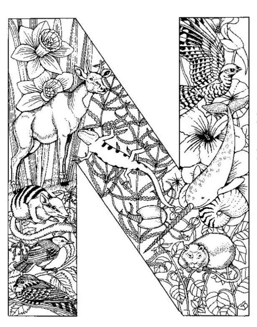 900x1145 Detailed Coloring Pages Lovely Free Coloring Pages Of Detailed