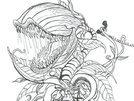 440x330 Coloring Page Free Coloring Pages Of Coloring Pages Coloring Page