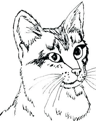 313x395 Coloring Pages Of Cats Free Cat Coloring Pages Packed With Kitten