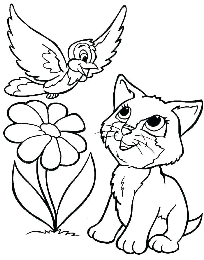 700x890 Free Kitten Coloring Pages Kitten Coloring Page Kitten Coloring