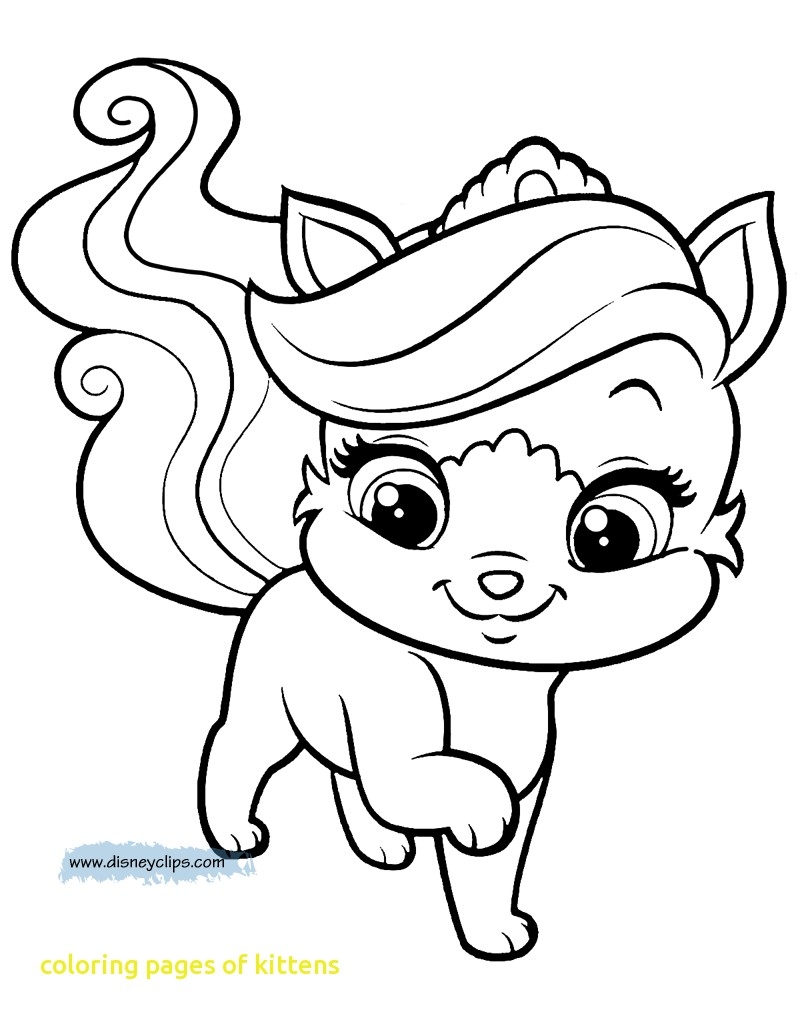 800x1022 Unsurpassed Puppy And Kitty Coloring Pages New Puppies Kittens